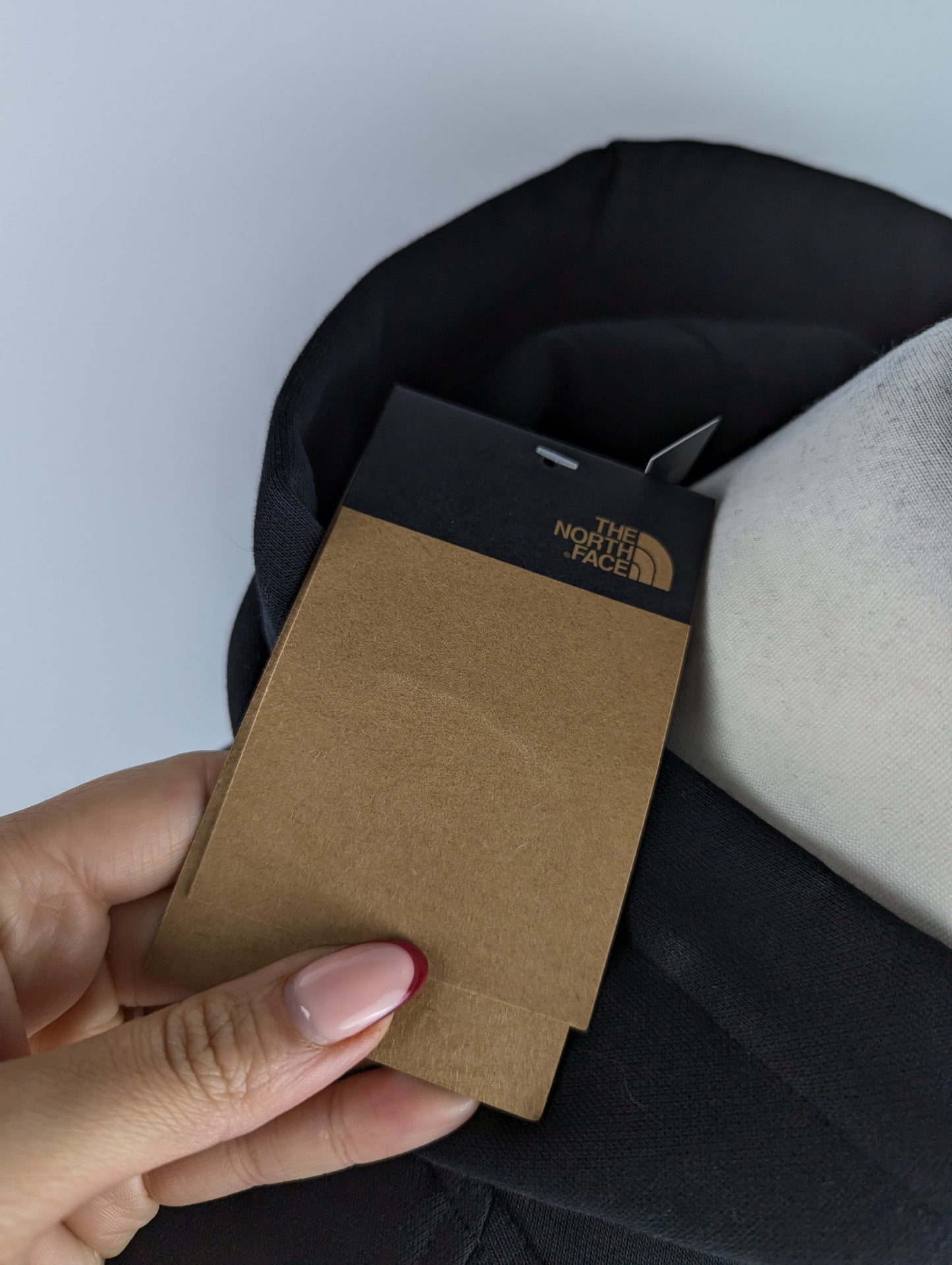 The North Face Box NSE Hoodie - Black