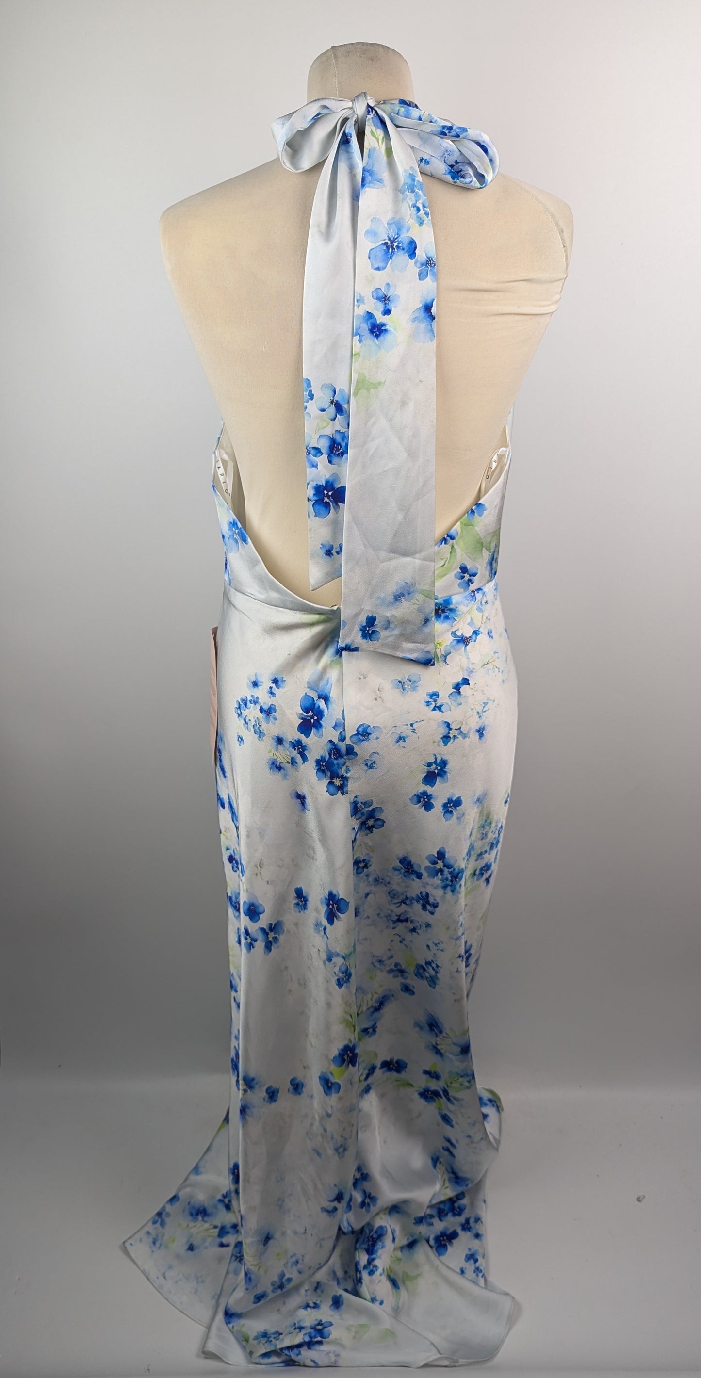 Jarlo Noelle Dress - Blue / White