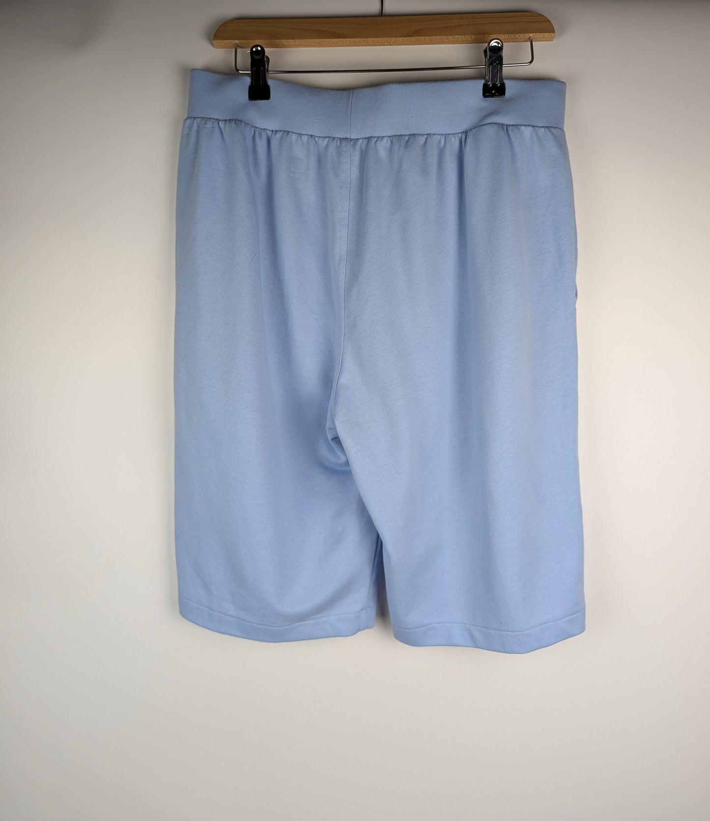 Polo Ralph Lauren Logo Shorts - Blue