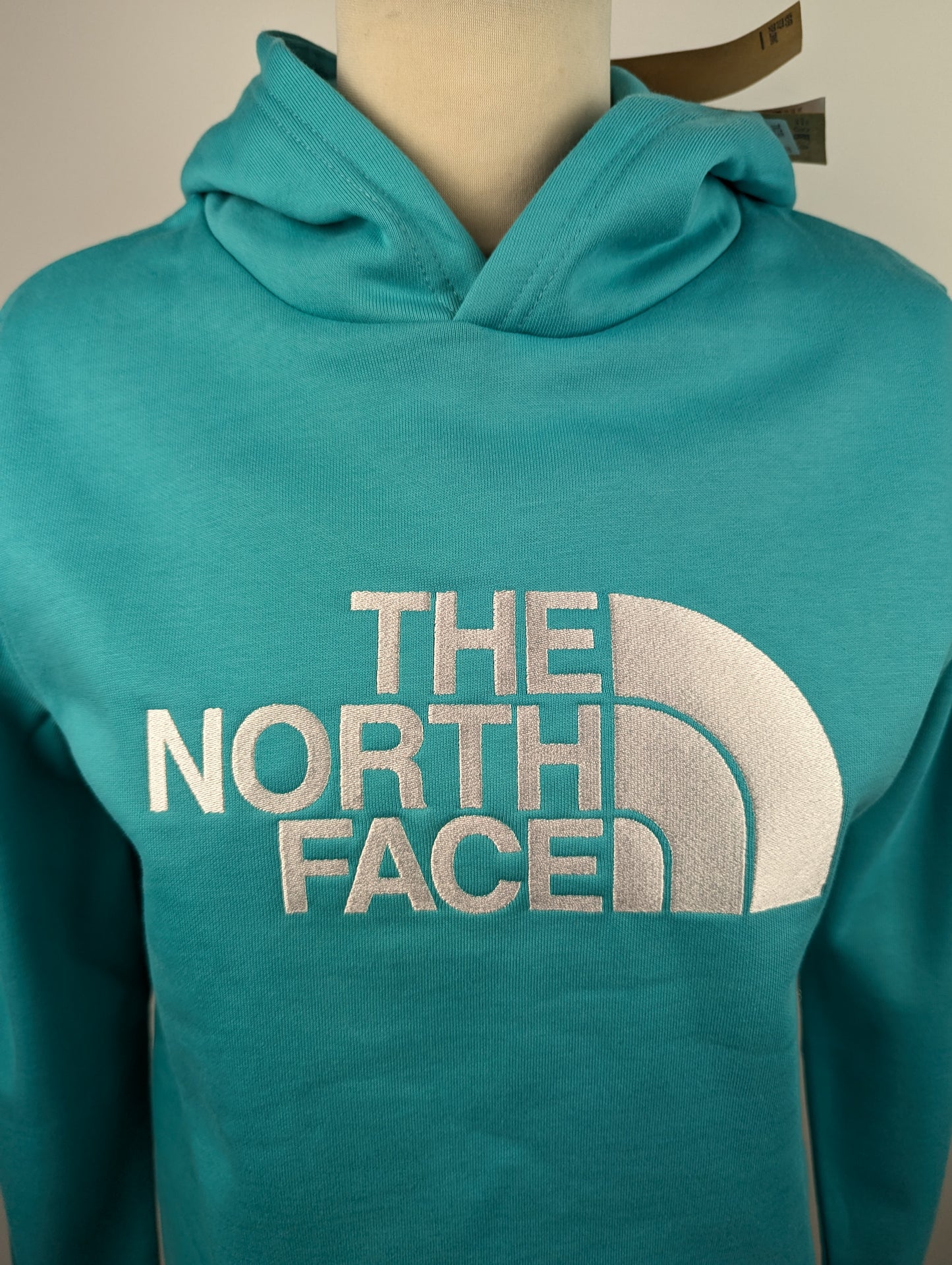 The North Face Drew Peak Hoodie Teens- Aqua Blue