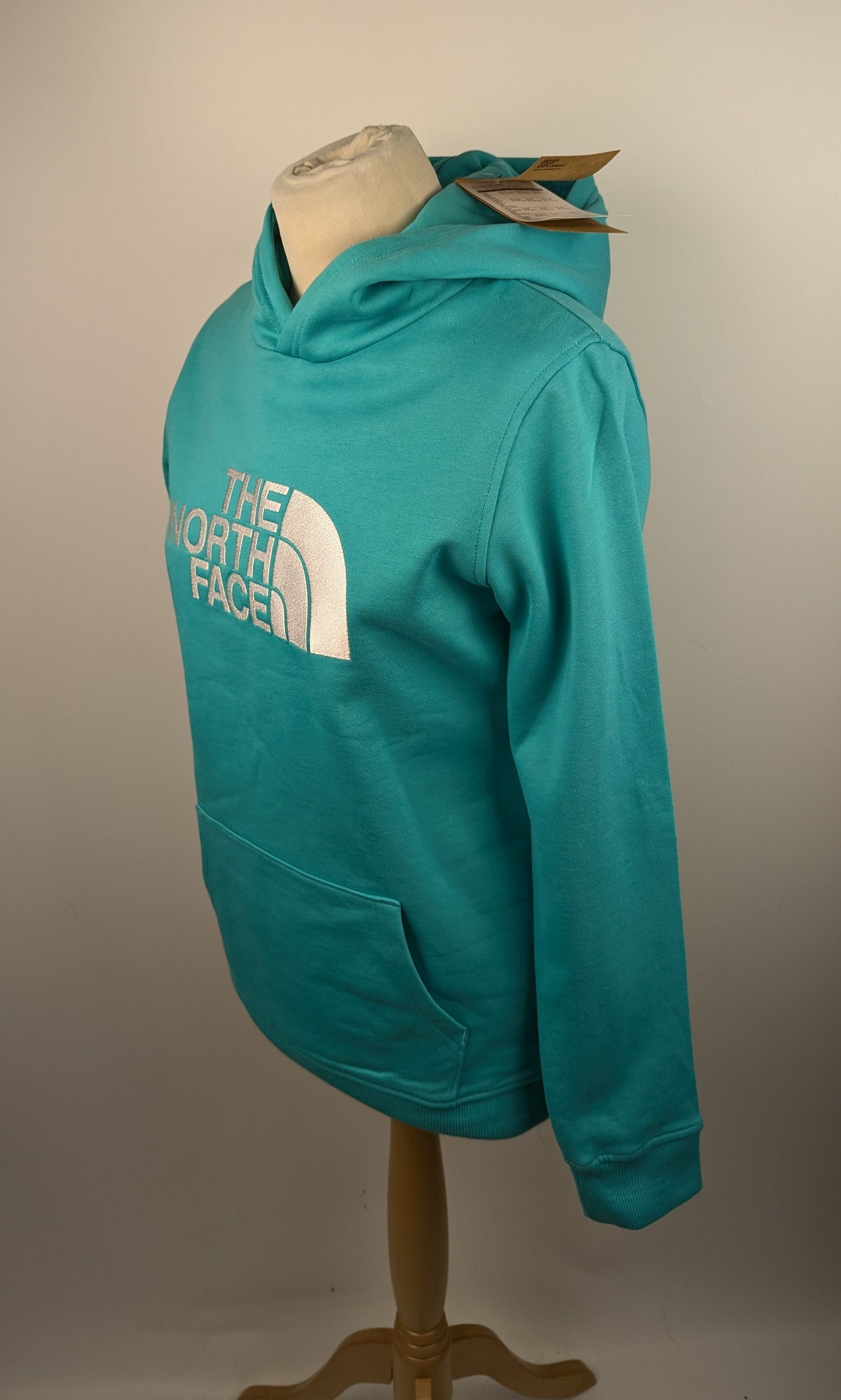 The North Face Drew Peak Hoodie Teens- Aqua Blue
