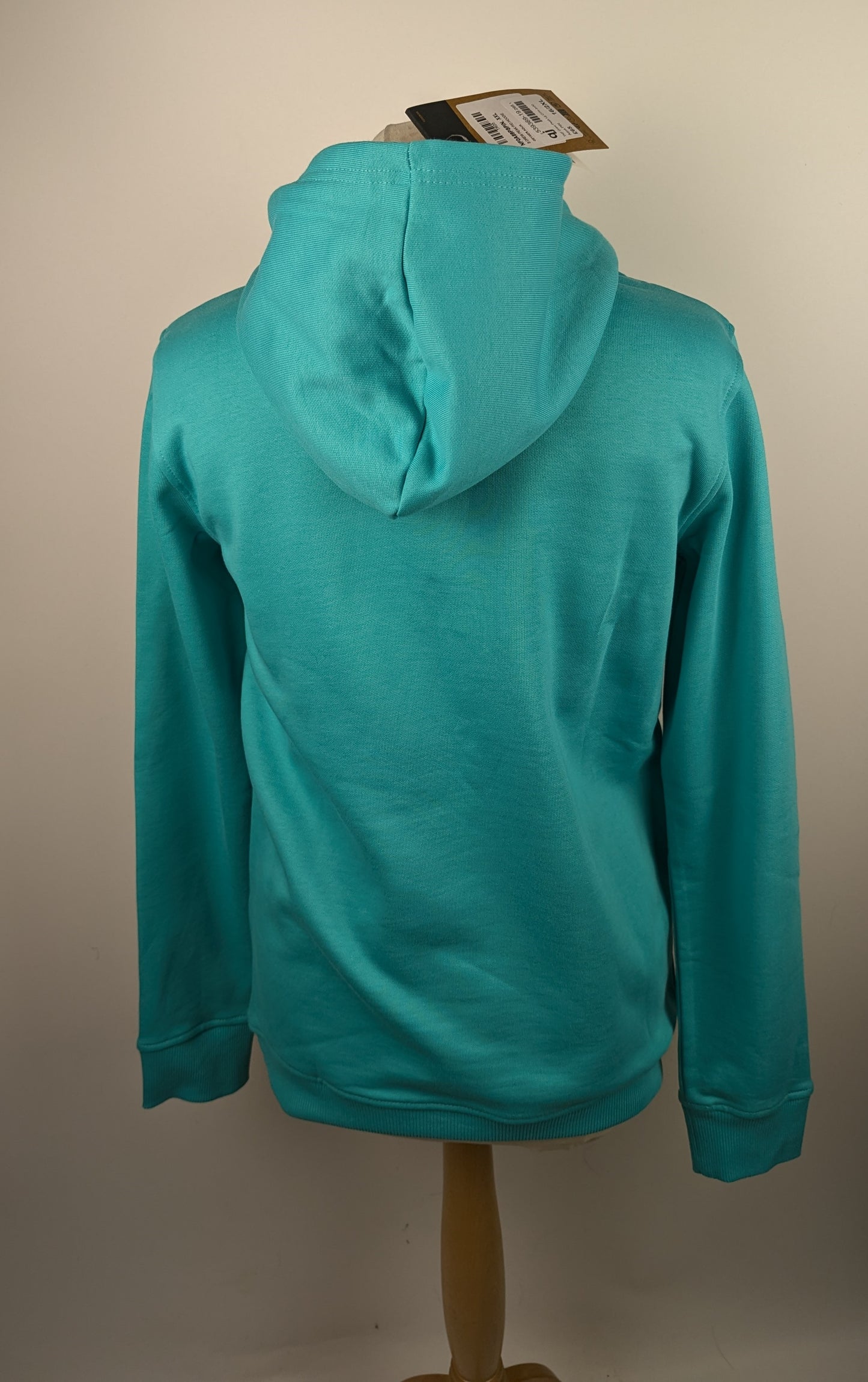 The North Face Drew Peak Hoodie Teens- Aqua Blue