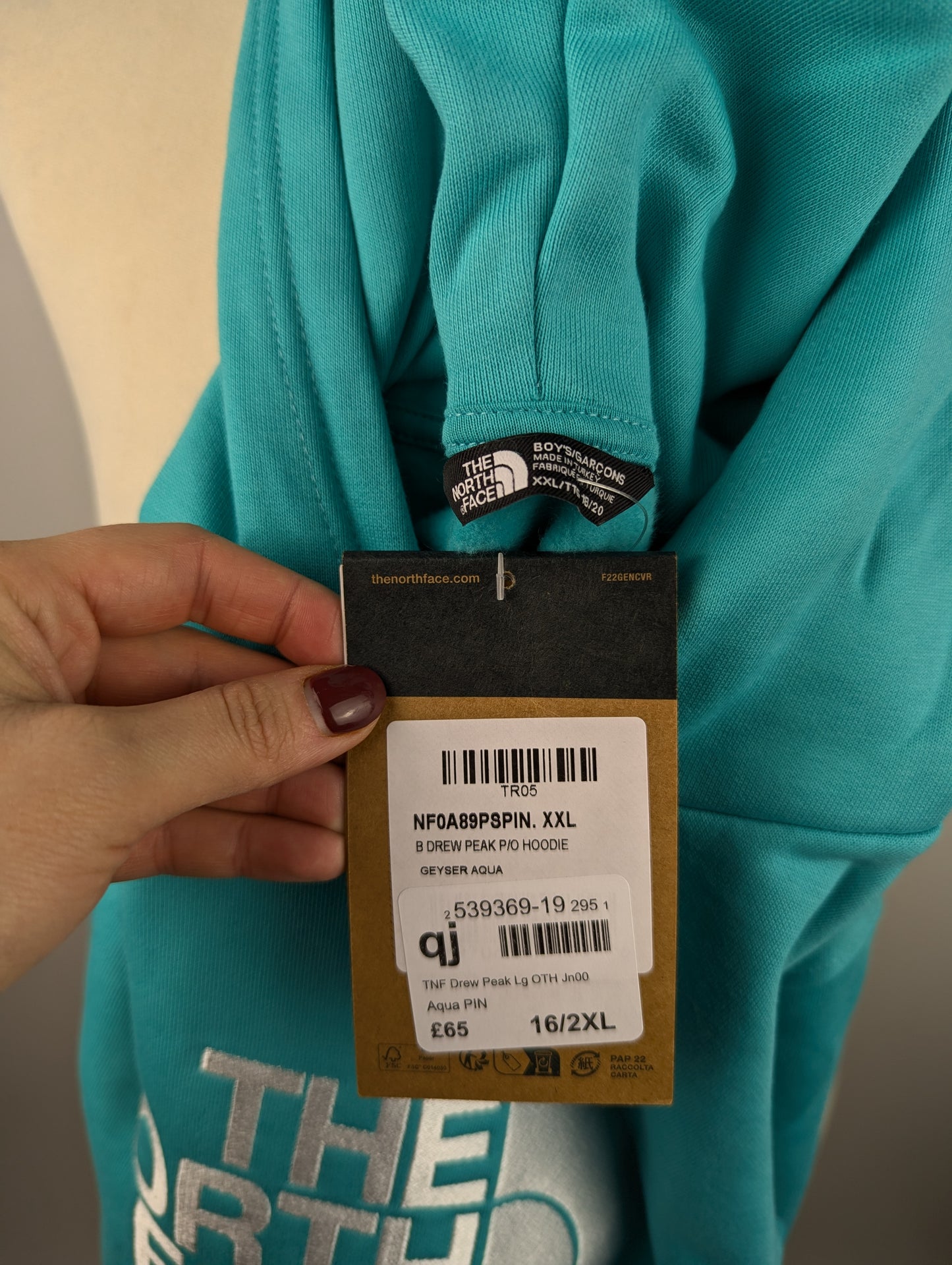 The North Face Drew Peak Hoodie Teens- Aqua Blue
