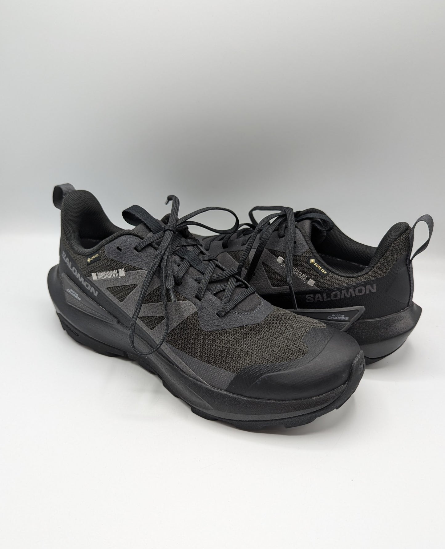 Salomon Mens ELIXIR ACTIV Gore-Tex Shoes - Black