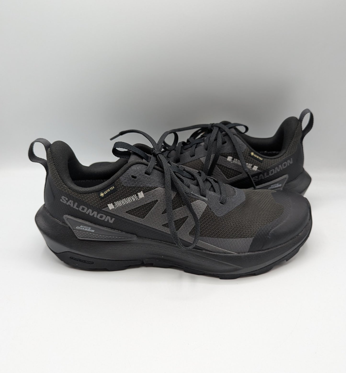 Salomon Mens ELIXIR ACTIV Gore-Tex Shoes - Black